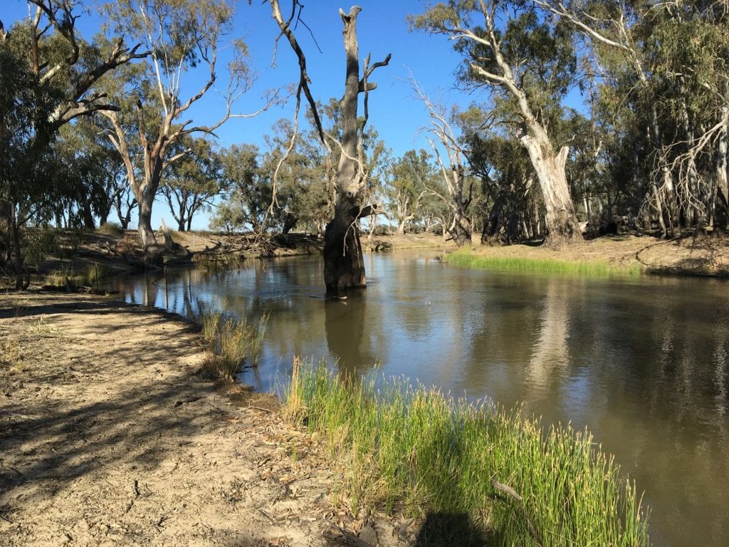 Yallakool Creek, NSW
