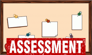 Assessment Task