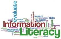 Enhancing student’s professional information literacy