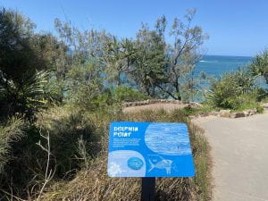 Image of Dolphin Point sign at Dolphin Point lookout